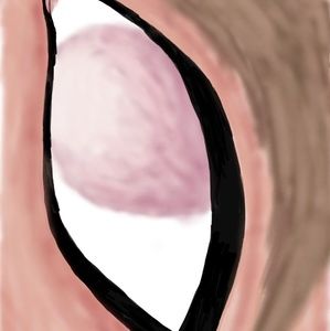 Meet your Posher, Misty